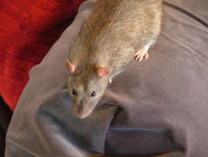 2003_1123image0014.jpg