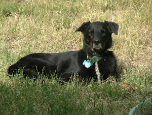 2003_1123image0046.jpg