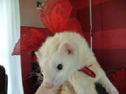 20041008image0002.jpg