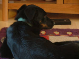 2004_0101image0004.jpg