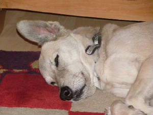 2004_0101image0008.jpg