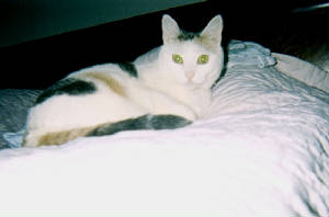 snuggles1.jpg