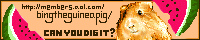 banner5.gif