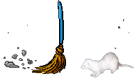 broomferret.gif