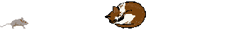 catandmouse.gif