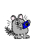 chincameraani.gif
