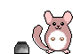 chinmail_anim.gif