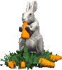 eatingrabbit.gif