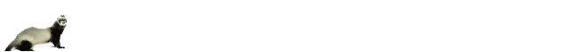 ferretrunning.gif