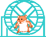 hamster_06wheel.gif