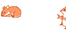 hamster_08.gif