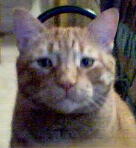 lookatme.jpg