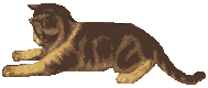 x-knead.gif